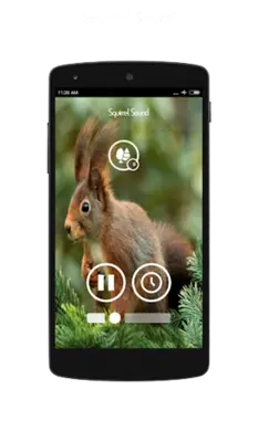 Animal Sounds android App screenshot 1