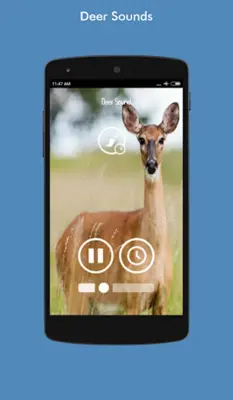 Animal Sounds android App screenshot 4